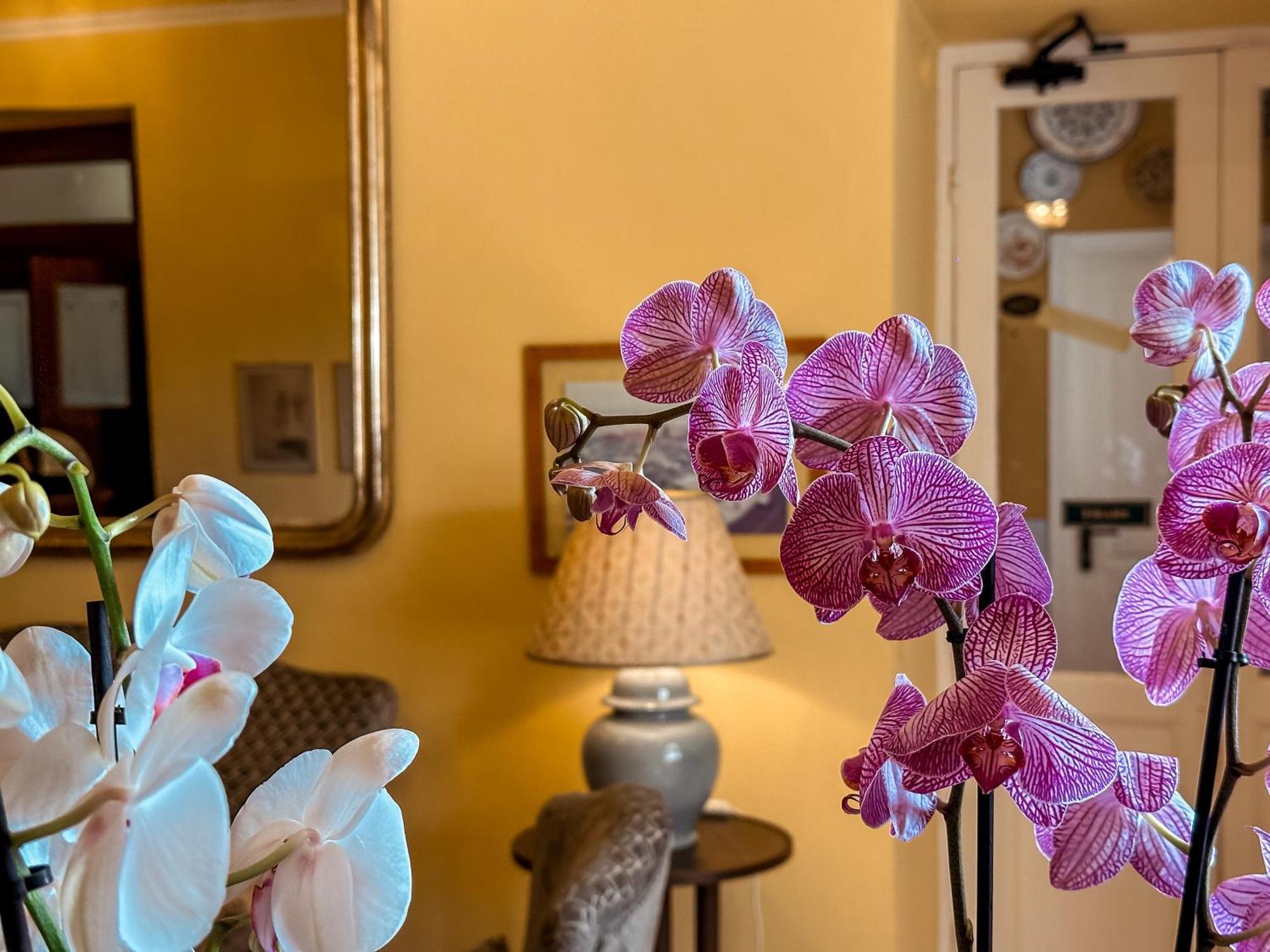 Hotel Villa Anita Santa Margherita Ligure Eksteriør billede